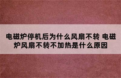 电磁炉停机后为什么风扇不转 电磁炉风扇不转不加热是什么原因